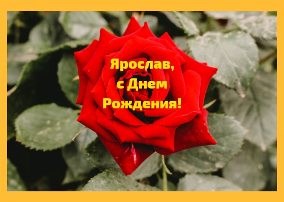 С днём рождения Ярослав открытки. Открытки с именем Ярик. Поздравительные отк...