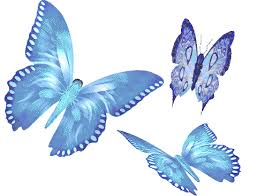 Мерцающие открытки с бабочками. Открытки с красивыми бабочками скачать беспла...