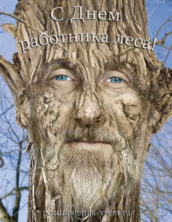 Открытки с днём работника леса с поздравлениями. Красивые открытки на день лесника.