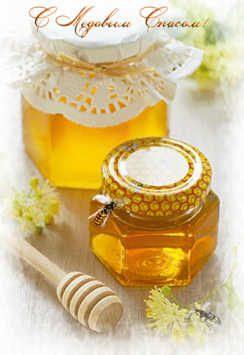 Открытки с медовым спасом скачать бесплатно. Праздничные открытки с медовым с...