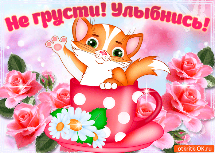 Весёлые открытки с пожеланиями улыбнись. Открытки с улыбкой скачать бесплатно.