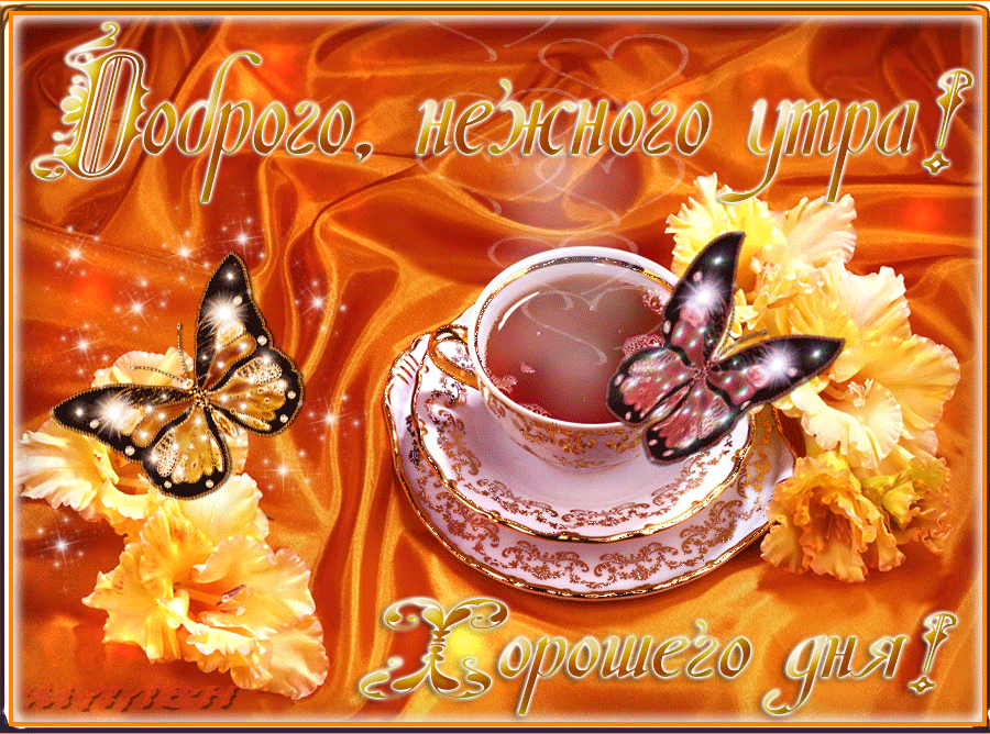Открытка с пожеланиями доброго утра на каждый день скачать бесплатно 