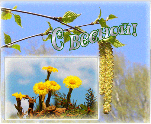 Красивые мерцающие открытки на весеннюю тематику. Скачать бесплатно открытки ...