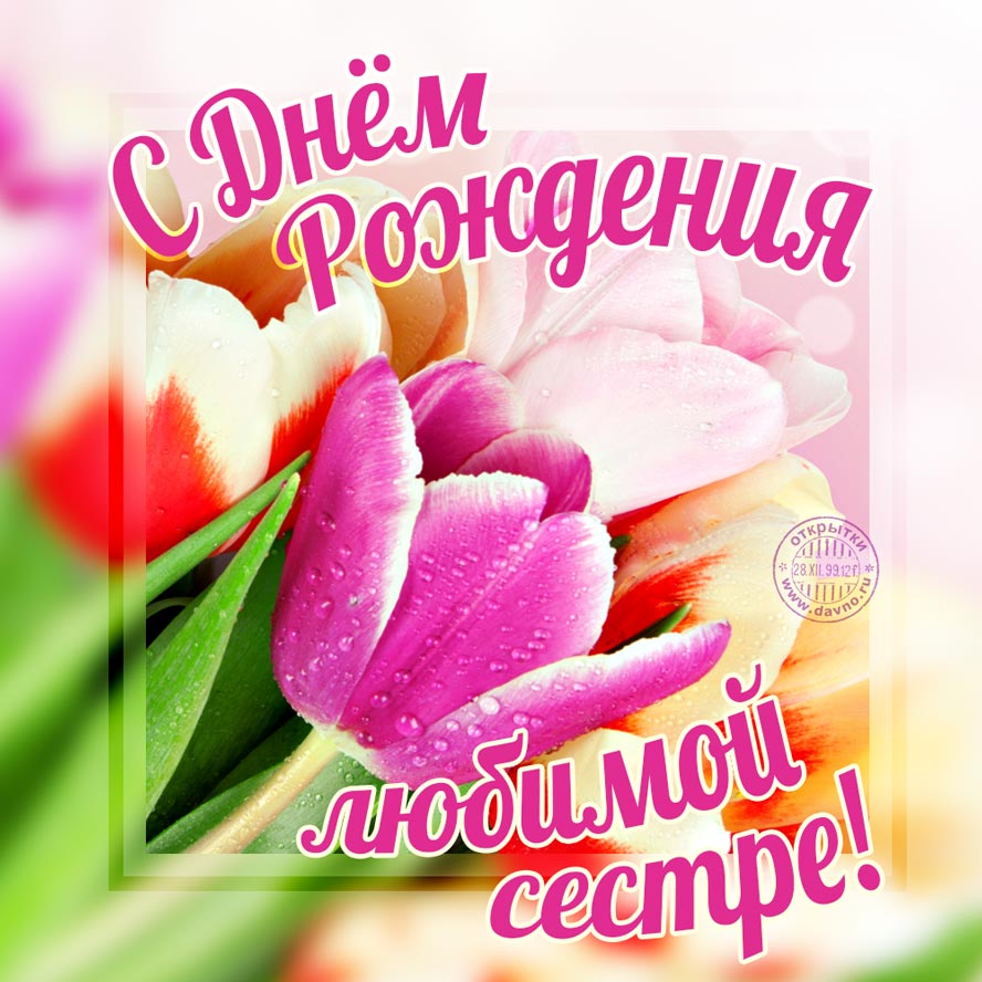 Лучшие поздравительные открытки на день рождения сестре скачать бесплатно.