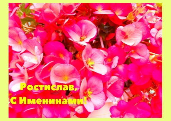 Открытки с именем Ростик скачать бесплатно. Открытки с мужскими именами. С дн...