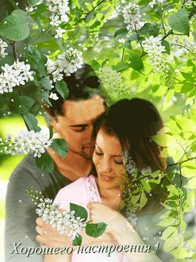 Позитивные открытки с пожеланиями хорошего настроения скачать бесплатно.