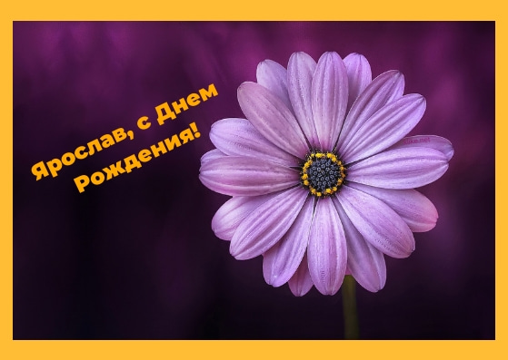 С днём рождения Ярослав открытки. Открытки с именем Ярик. Поздравительные отк...