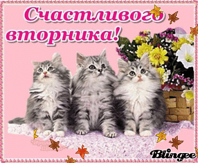 Позитивные открытки на вторник. Картинки про вторник скачать бесплатно.