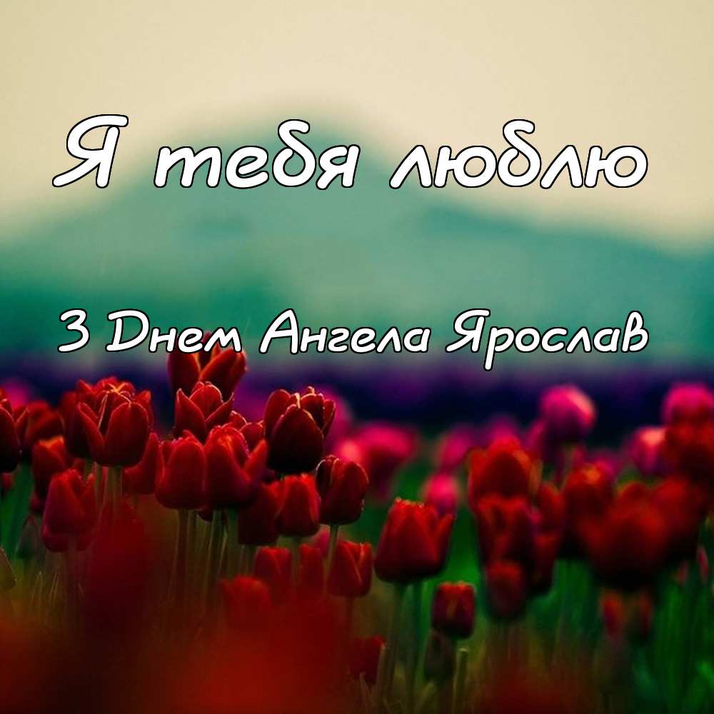 С днём рождения Ярослав открытки. Открытки с именем Ярик. Поздравительные отк...