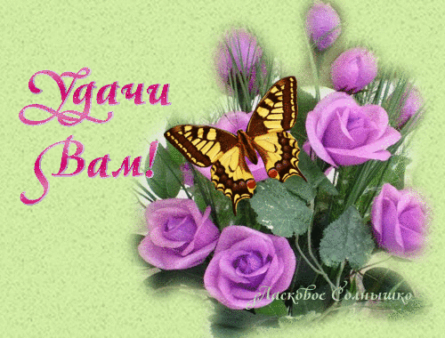 Открытки желаю удачи скачать бесплатно. Красивые открытки с пожеланиями удачи.