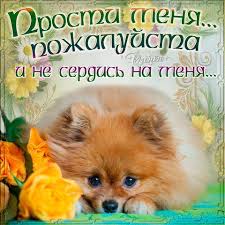 Красивые открытки с извинениями скачать бесплатно. Открытки прости меня gif.