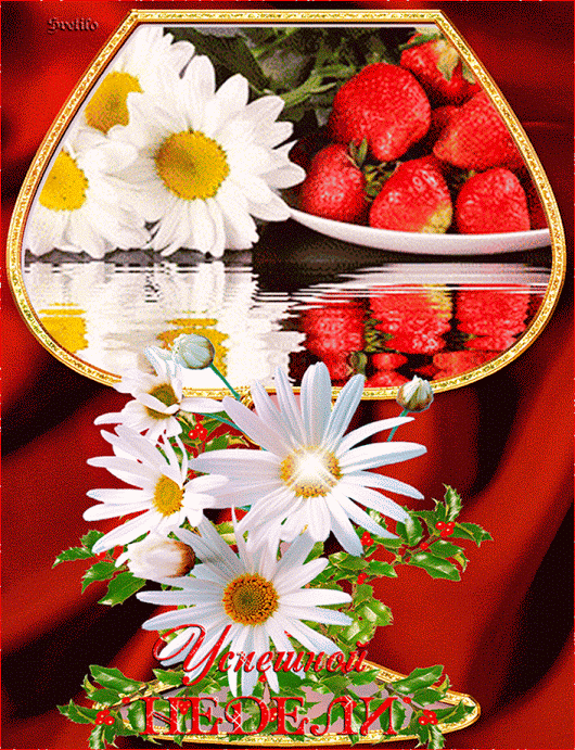 Забавные открытки с пожеланиями удачной недели. Открытки удачной недели скача...