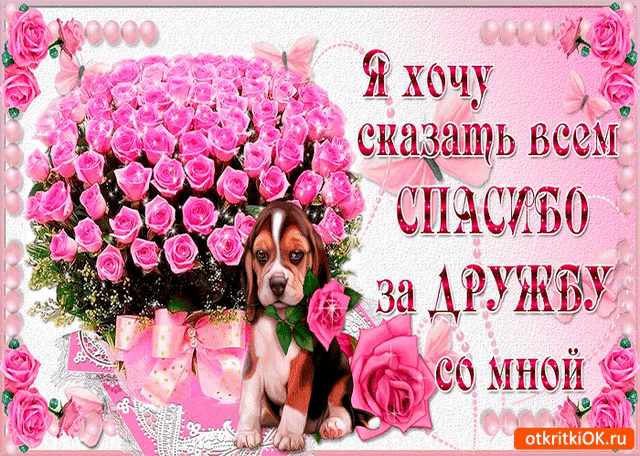 Красивые открытки для любимых друзей. Открытки о дружбе скачать бесплатно.