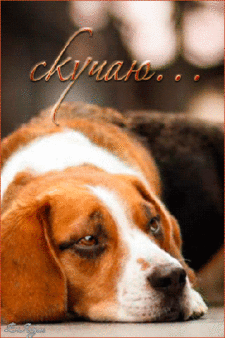 Анимационные открытки скучаю по тебе. Открытки я так скучаю скачать бесплатно.