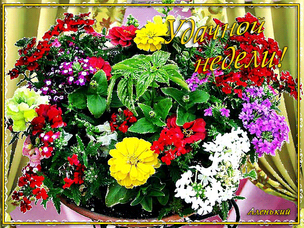 Забавные открытки с пожеланиями удачной недели. Открытки удачной недели скача...