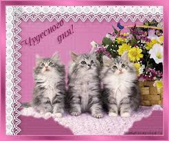 Открытки с пожеланиями хорошего дня. Скачать бесплатно открытки удачного дня.