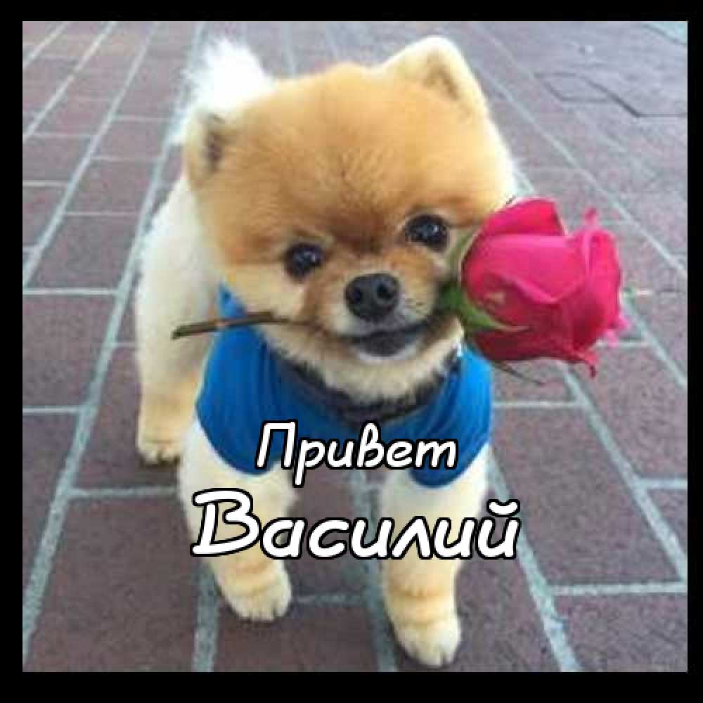 Анимационные открытки с именем Василий. Открытки с днём рождения Вася.