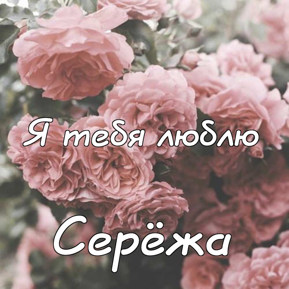 Поздравительные открытки с именем Сергей. С днём рождения Серёжа открытки ска...