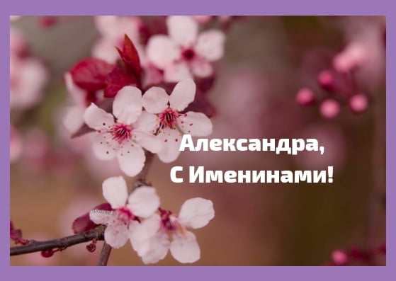 Открытки с именем Александра скачать бесплатно. Поздравительные открытки с им...
