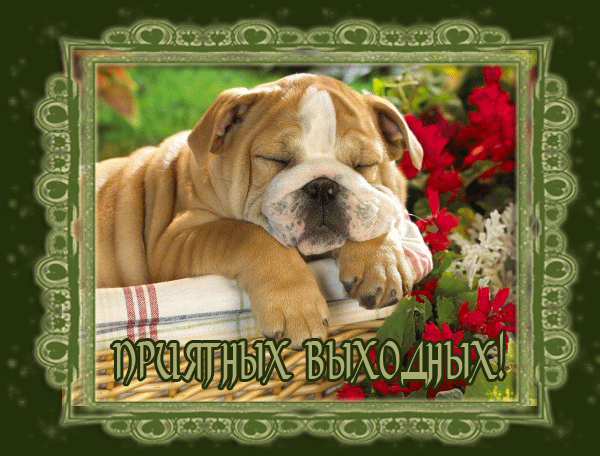 Красивые открытки замечательных выходных. Открытки хороших выходных скачать б...