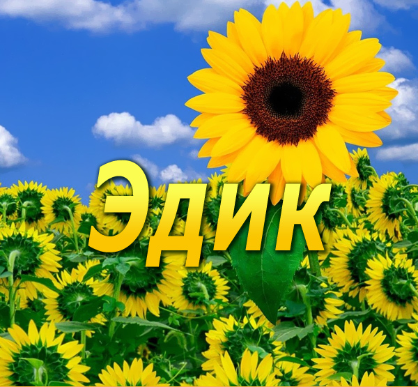 Открытки с именем Эдуард скачать бесплатно. Поздравительные открытки с именем...