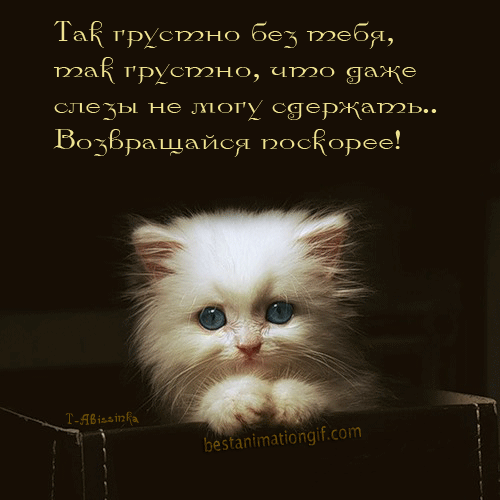 Открытки я жду тебя gif. Открытки возвращайся скорее скачать бесплатно.