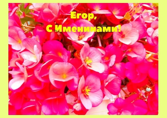 Прикольные открытки с именем Егор. Открытки с именем Егор скачать бесплатно. 