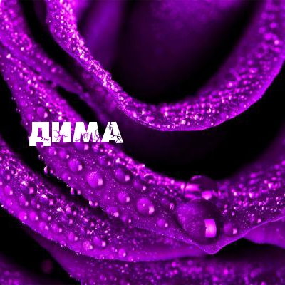 Открытки с именем Дмитрий скачать бесплатно. Анимационные открытки с именем Д...