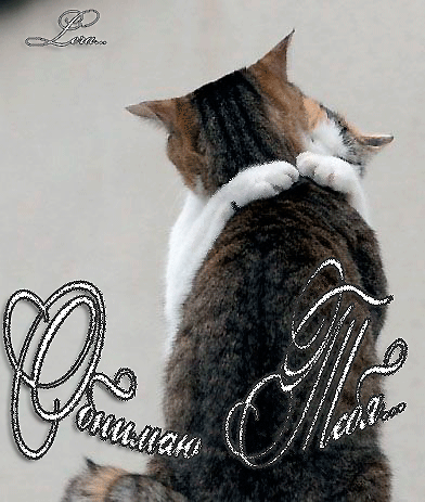 Открытки хочу тебя обнять. Открытки крепко обнимаю скачать бесплатно.