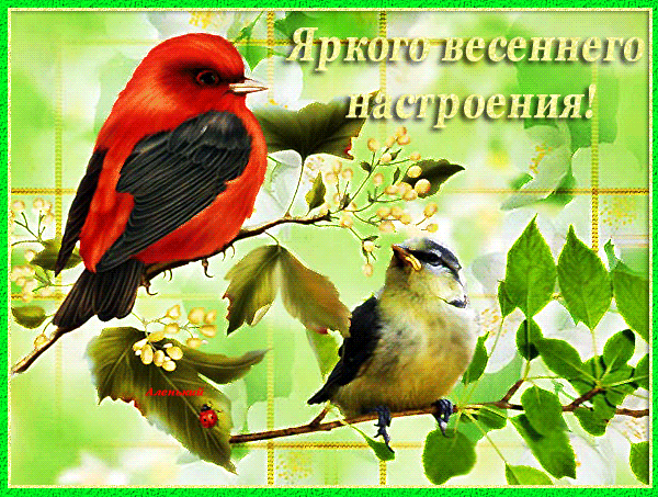 Красивые мерцающие открытки на весеннюю тематику. Скачать бесплатно открытки ...