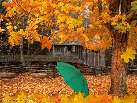 Оригинальные открытки с изображением осени. Открытки осень скачать бесплатно.