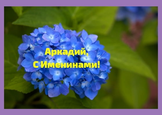 Открытки с именем Аркадий скачать бесплатно. Анимационные открытки с именами.