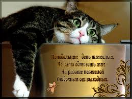 Открытки с наилучшими пожеланиями на понедельник. Открытки на понедельник ска...