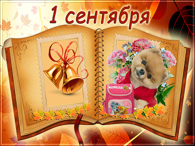 Открытки с поздравлениями на день знаний скачать бесплатно. 