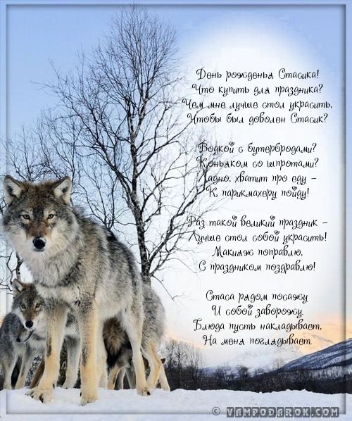 С днём рождения Станислав открытки. Открытки с именем Стас скачать бесплатно.