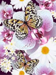 Мерцающие открытки с бабочками. Открытки с красивыми бабочками скачать беспла...