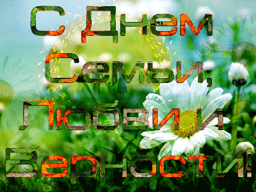 Открытки с красивыми пожеланиями на день семьи, любви и верности.