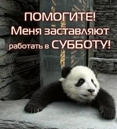 Интересные открытки на субботу. Веселые открытки на выходные. 