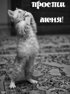 Красивые открытки с извинениями скачать бесплатно. Открытки прости меня gif.