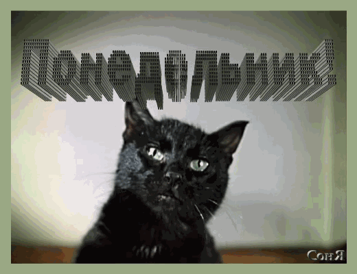 Открытки с пожеланиями легкого понедельника скачать бесплатно.