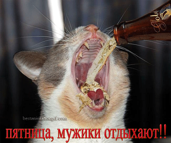 Прикольные открытки на пятницу. Открытки с пожеланиями на пятницу скачать бес...