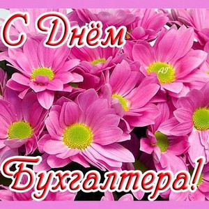 Анимационные поздравительные открытки с днем бухгалтера скачать бесплатно.