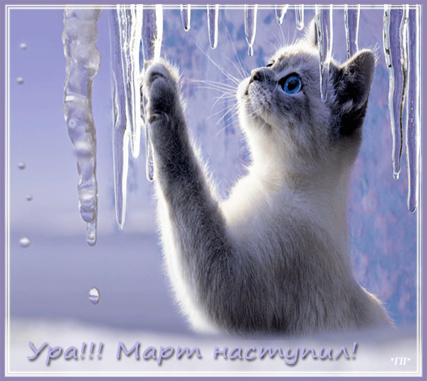 Красивые мерцающие открытки на весеннюю тематику. Скачать бесплатно открытки ...