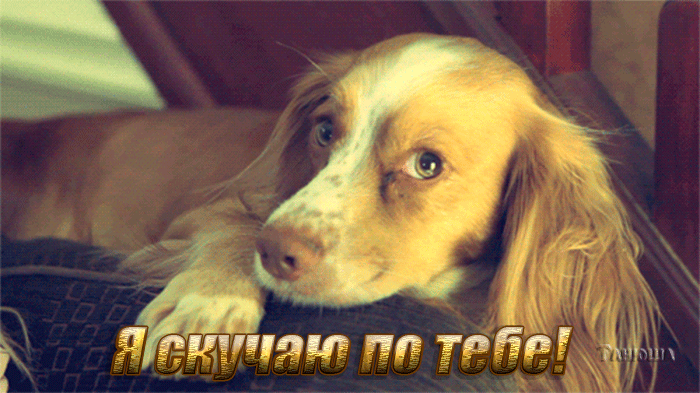 Анимационные открытки скучаю по тебе. Открытки я так скучаю скачать бесплатно.