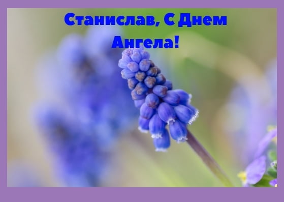 С днём рождения Станислав открытки. Открытки с именем Стас скачать бесплатно.