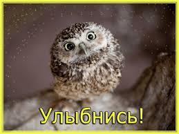 Весёлые открытки с пожеланиями улыбнись. Открытки с улыбкой скачать бесплатно.