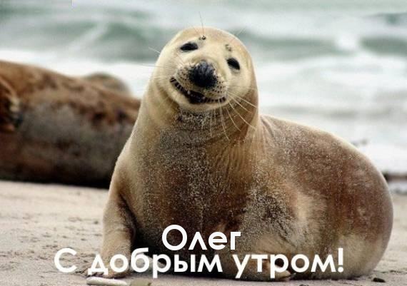 Открытки с днём рождения Олег. Открытки с именем Олег с признаниями.