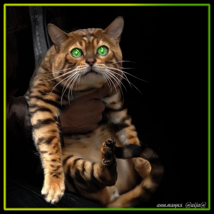 Анимационные открытки хочу к тебе. Мерцающие картинки хочу к тебе.