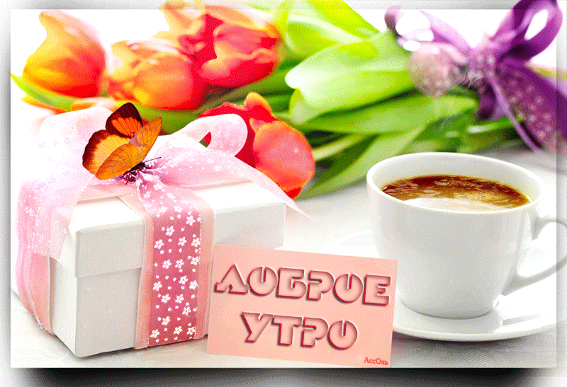 Открытка с пожеланиями доброго утра на каждый день скачать бесплатно 