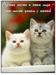 Открытки я всегда буду рядом. Открытки Открытки я рядом с тобой скачать беспл...